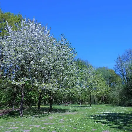 Panoramic App A09-5 Appartement *